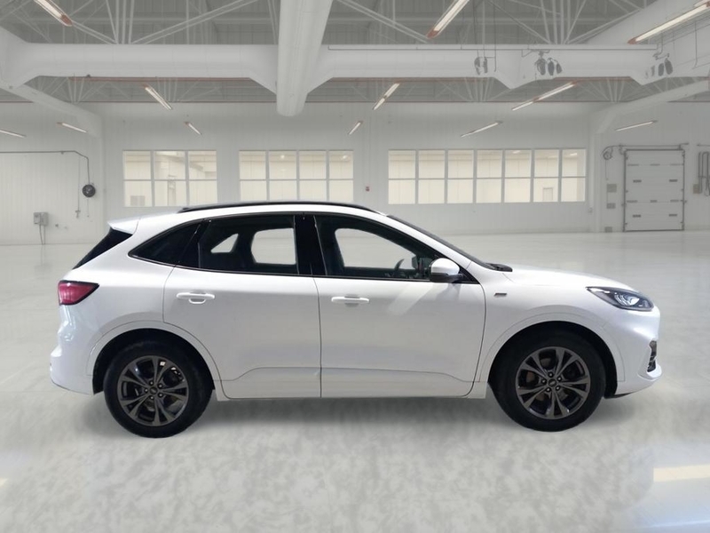 Ford Kuga 1.5 ECOBLUE 120 CV 2WD ST-LINE AUTO SUV