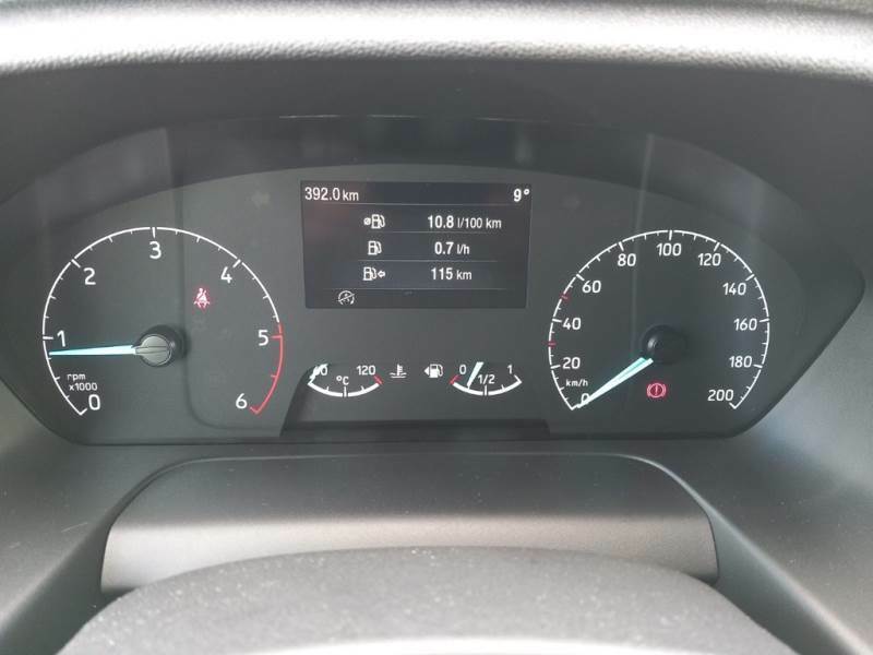 Ford Transit 330 L2H2 Trend 2.0 Eco MHEV 130 Cv 4 PORTE